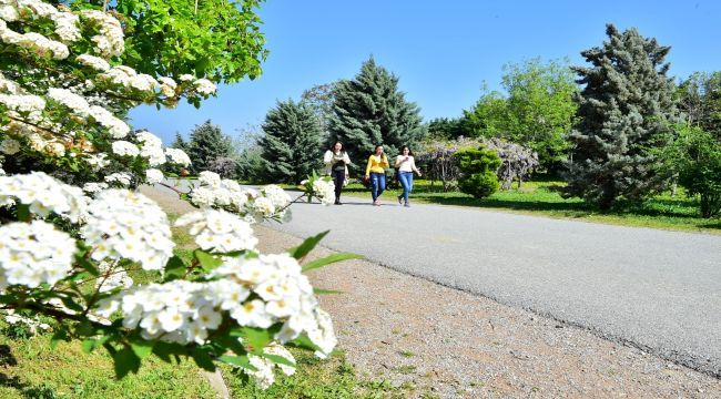 Ranta karşı koruma altına alındı