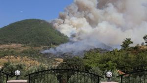 İzmir’in orman yangını karnesi