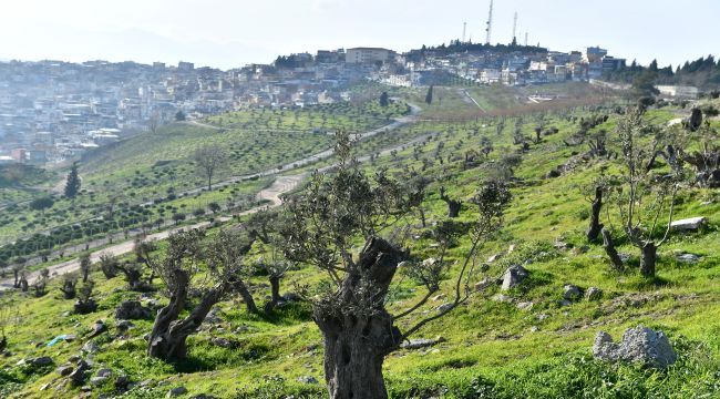 Kadifekale’ye ‘yeşil’ yatırım