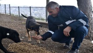 Sokak hayvanları unutulmadı