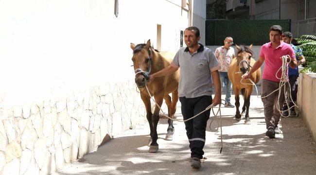 Karşıyaka Belediyesi operasyon düzenledi