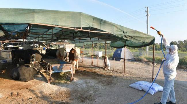 Çiğli Kurban Bayramına Hazır