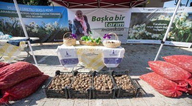 Üreticiye destek, toprağa bereket