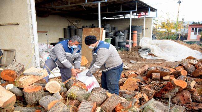 Budanan dallar ihtiyaç sahipleri için kışlık yakacak oluyor