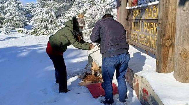 Kemalpaşa Belediyesi Can Dostları Unutmuyor