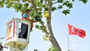 Parklar rengarenk kuş evleriyle donatıldı