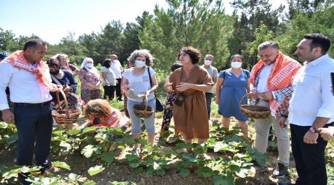 Bornova’da ilk bamya hasadı Neptün Soyer’den