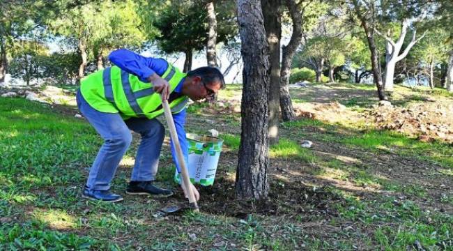 Bitki atıkları ekonomiye kazandırılıyor