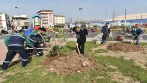 Bornova bahara hazırlanıyor