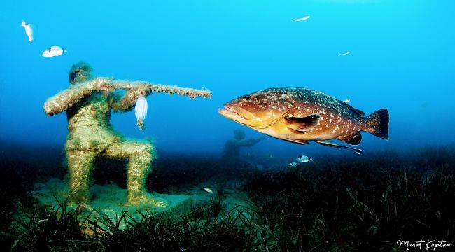 Su altı fotoğrafçısı dünya birincisi oldu