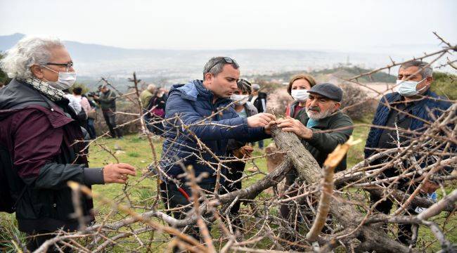 Bornova’da tarıma tam destek