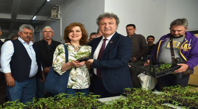 Bornova’da üreticiye 350 bin fide