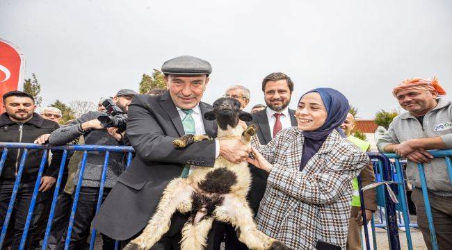 Urla'da küçükbaş hayvan dağıtımı