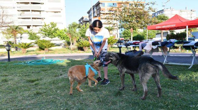 5. Pati Festivali Çiğli’de coşkuyla kutlandı