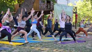 Dere Kafe’de İnziva, Genç Yoga Kampı