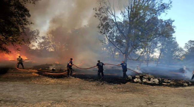  İzmir’in ormanlarını korumak için zabıta iş başında