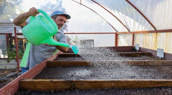 Tohumlar fidana, fidanlar yeşil Buca’ya dönüşüyor 