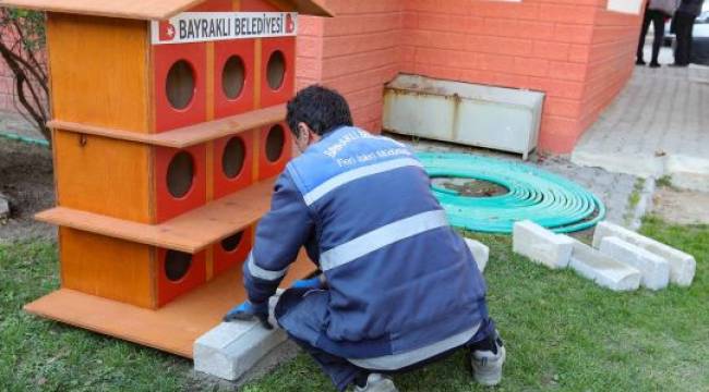 Bayraklı Belediyesi sokak kedilerine sahip çıkıyor