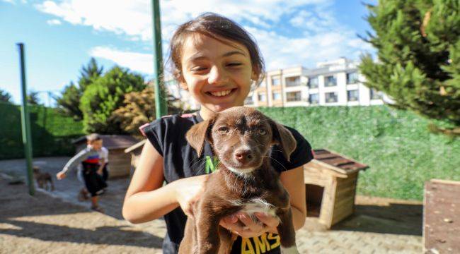 Buca Belediyesi bir yılda 12 bin can dostuna sahip çıktı