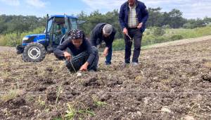 Bornova’da çiftçiye sözleşme desteği