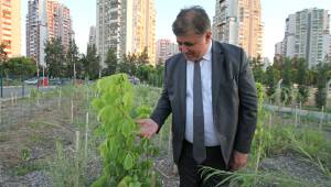 Tugay “Yerel tohumları koruyor ve toprakla buluşturuyoruz”