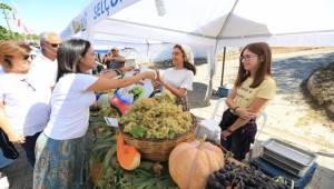 Efes Selçuk Belediyesi, Osmancık üzümü için şenlik düzenliyor