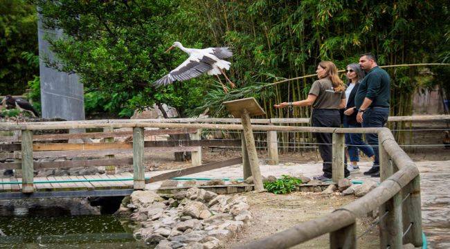  İzmir Doğal Yaşam Parkı’nda bebek heyecanı
