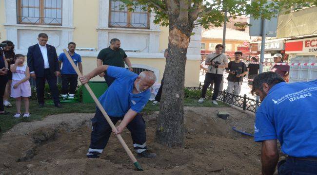Kırılan Asırlık Çınar Ağacının Yerine Yenisini Dikti