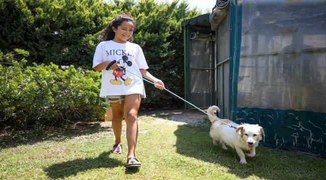 Karşıyaka’da can dostlar için 25 ton mama toplandı