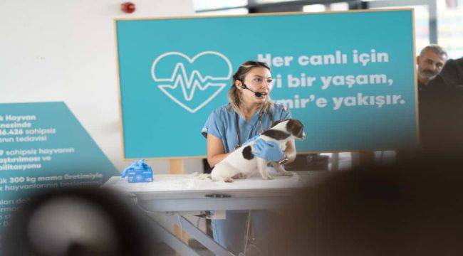“Sahipsiz hayvanlara kötü muamele son bulsun”