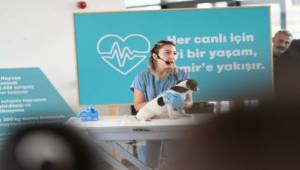 “Sahipsiz hayvanlara kötü muamele son bulsun”