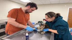 Çörekçi’nin Emanetlerine Büyükşehir Sahip Çıktı