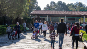 İzmir Doğal Yaşam Parkı’na ziyaretçi akını