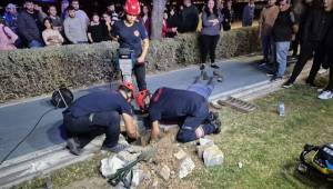 Mazgala düşen kayıp köpek ve kediler itfaiyenin çabasıyla kurtarıldı