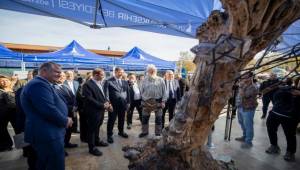 Zeytinin geleceği için 5 stratejik adım atıyoruz