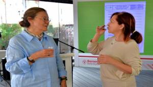 Bornova’da 1500 zeytin ağacında hasada başlandı