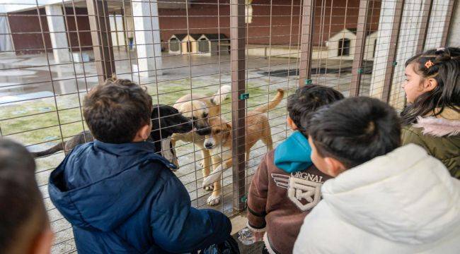 Çocuklara hayvan sevgisi kazandırılıyor
