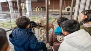 Çocuklara hayvan sevgisi kazandırılıyor
