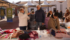 Her Şey Ayvalık Fidanları İçin