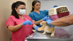 Eros Kedi Kliniği Bornova’da umut merkezi oldu