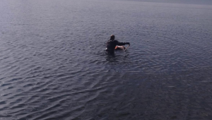 Flamingoya hayat veren kurtarma operasyonu