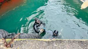 İzmir İtfaiyesi, iskele altında sıkışan kediyi kurtardı