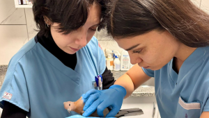 Büyükşehir ekipleri tüm canlılar için aynı özveriyle çalışıyor 