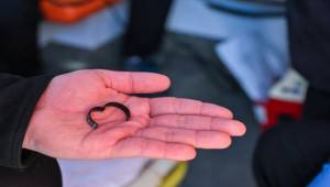 Zor zamanların sessiz kahramanları