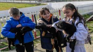 “Satın alma, sahiplen” çağrısı
