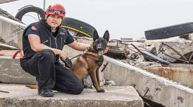 Barınaktan kahramanlığa