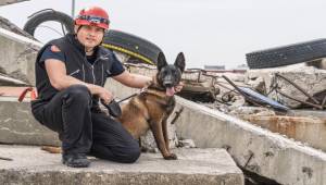 Barınaktan kahramanlığa