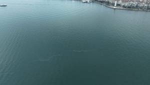 İzmir Körfezi’nde 13. dış kaynaklı kirlilik vakası