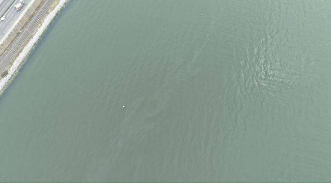 İzmir Körfezi’nde kirlilik alarmı: Aynı tehdit 11. kez görüldü