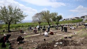 Zurich Türkiye, İzmir’de iklim dayanıklılığını güçlendiriyor